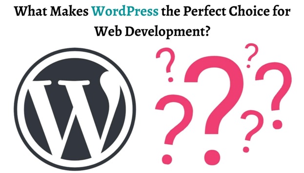 What makes WordPress the perfect choice for web development?
