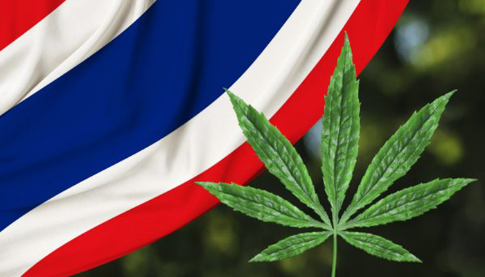 Cannabis is Now Legal in Thailand