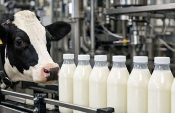 Dairy Farming in 2026: Challenges and Strategies in California and Across the USA Dairy Farming in 2026